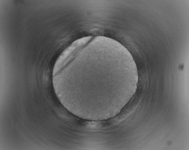 X0000116450088201001191602