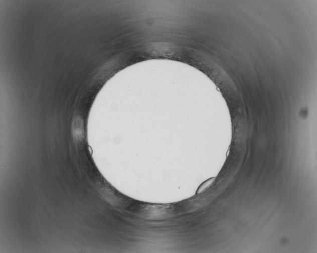 X0000116450089201001191602