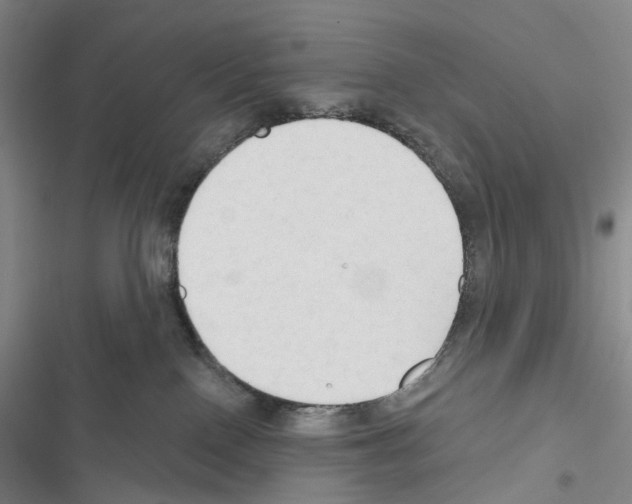 X0000116450090201001191602