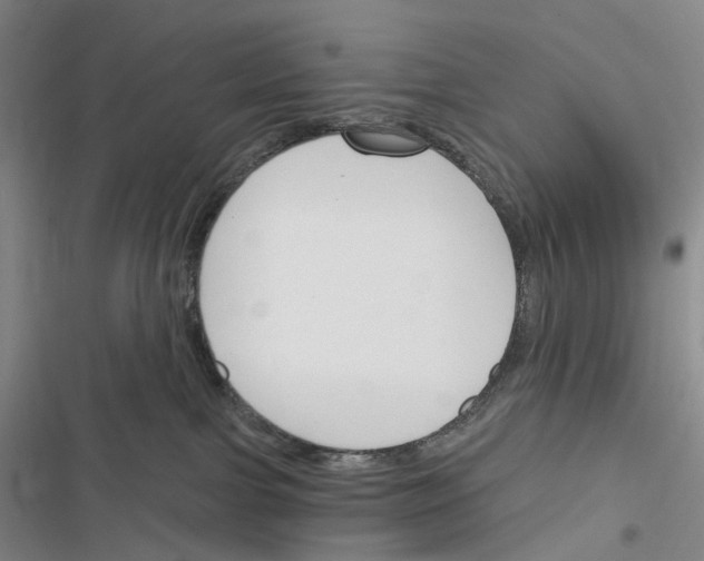 X0000116450091201001191602