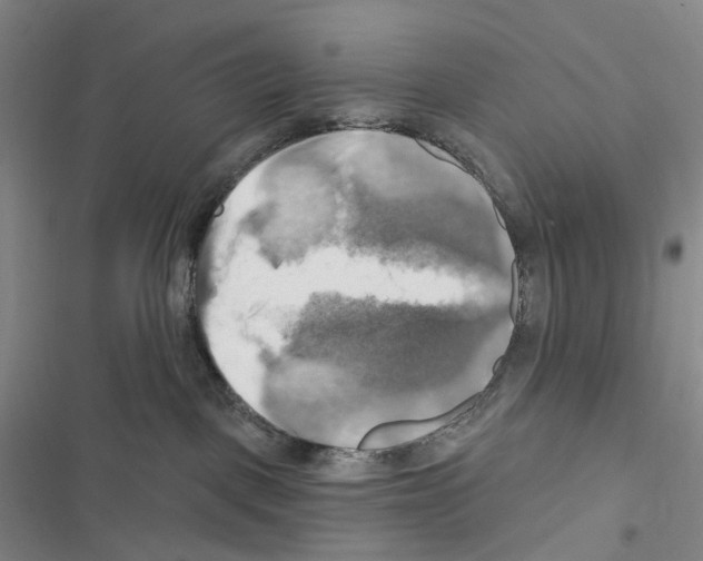 X0000116450093201001191602