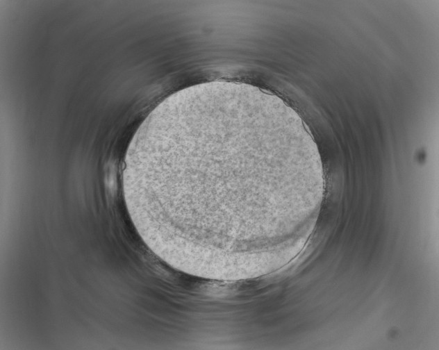 X0000116450094201001191602
