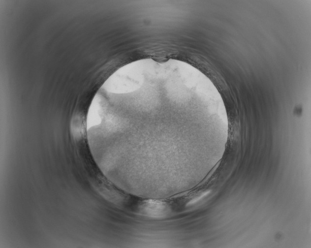 X0000116450095201001191602