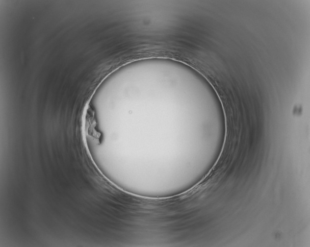X0000116450096201001191602