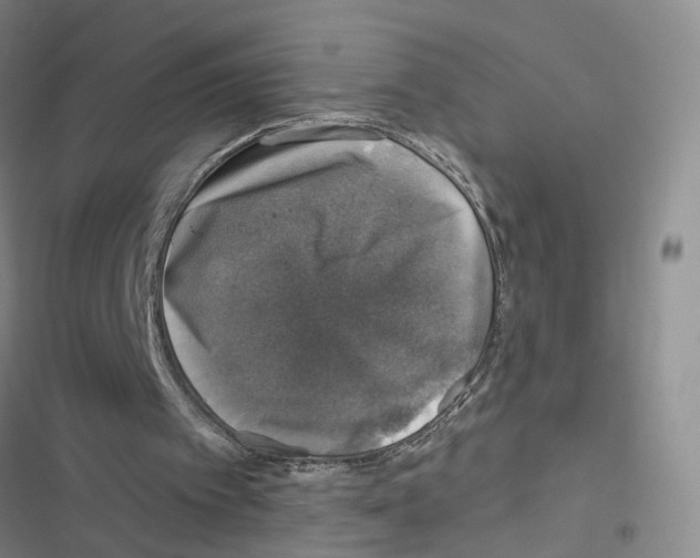X0000116450097201001191601