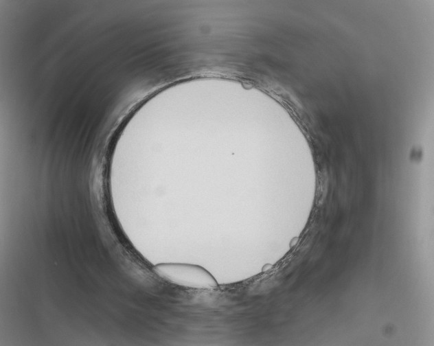 X0000116450098201001191601