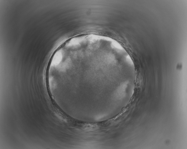 X0000116450099201001191601