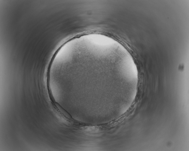 X0000116450100201001191601