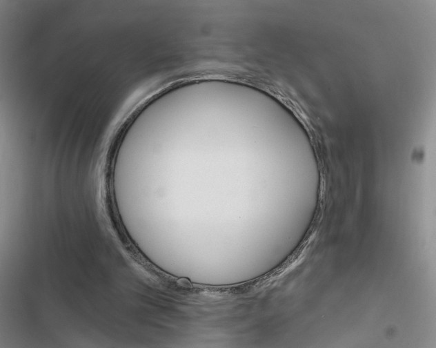 X0000116450101201001191601
