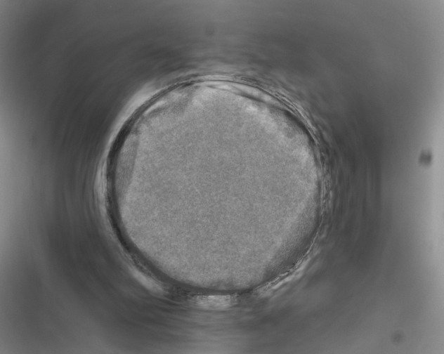 X0000116450102201001191601