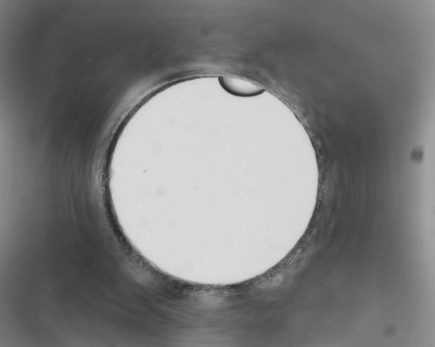 X0000116450103201001191601