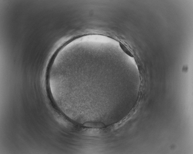 X0000116450104201001191601
