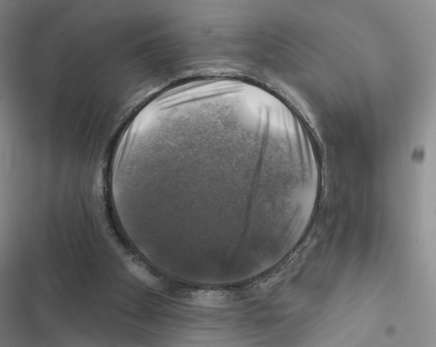 X0000116450105201001191601