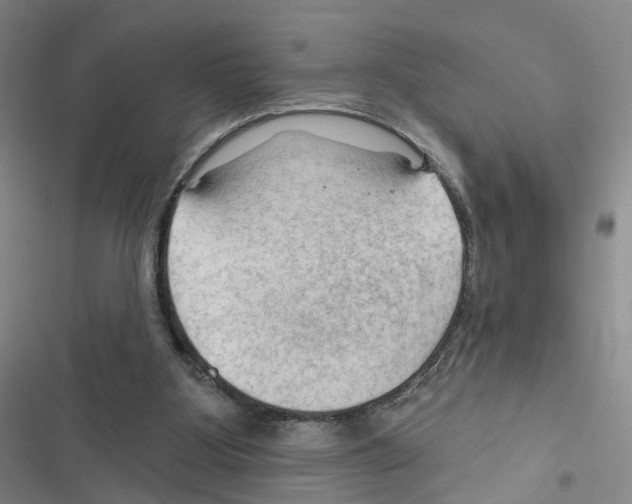 X0000116450107201001191601
