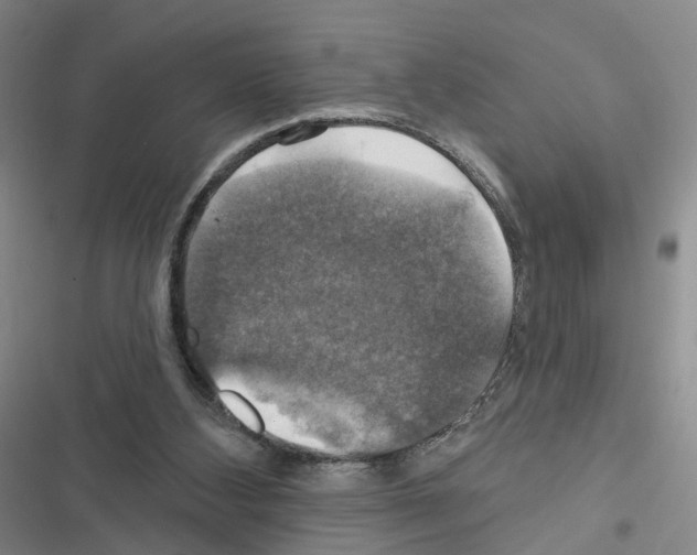 X0000116450108201001191601