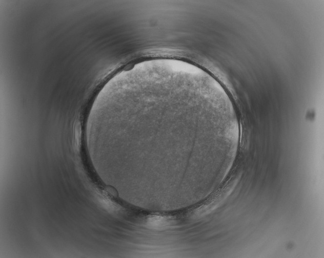 X0000116450109201001191601