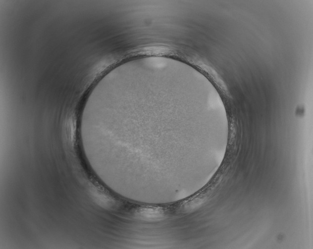 X0000116450110201001191601