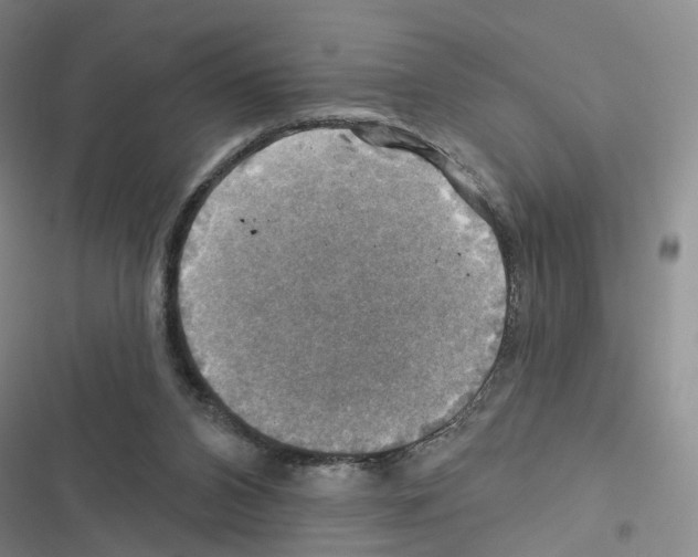 X0000116450112201001191601