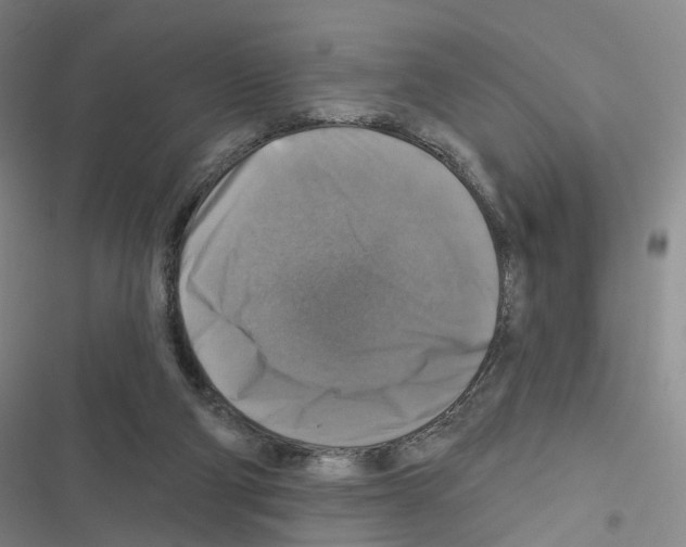 X0000116450114201001191601