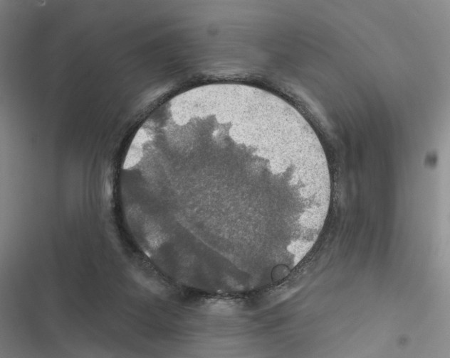 X0000116450115201001191601