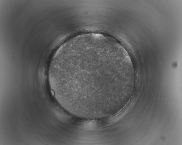 X0000116450116201001191601