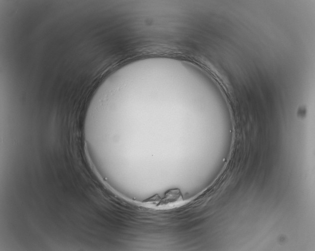 X0000116450117201001191601