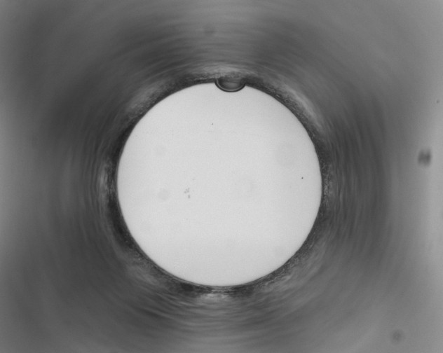 X0000116450119201001191601
