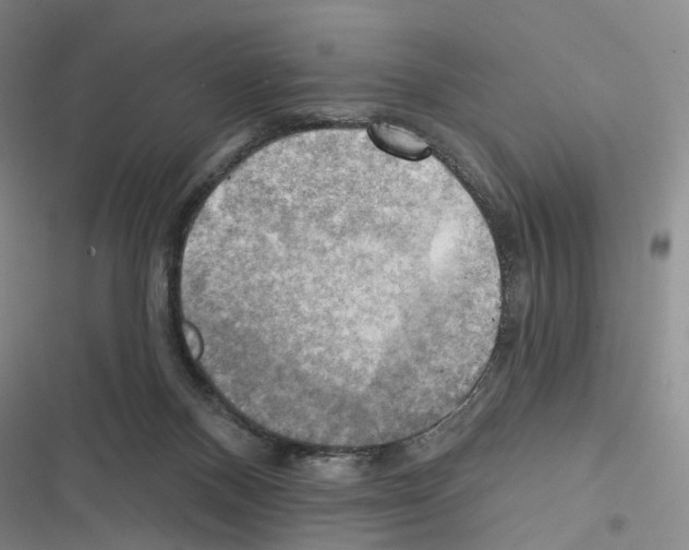 X0000116450120201001191601