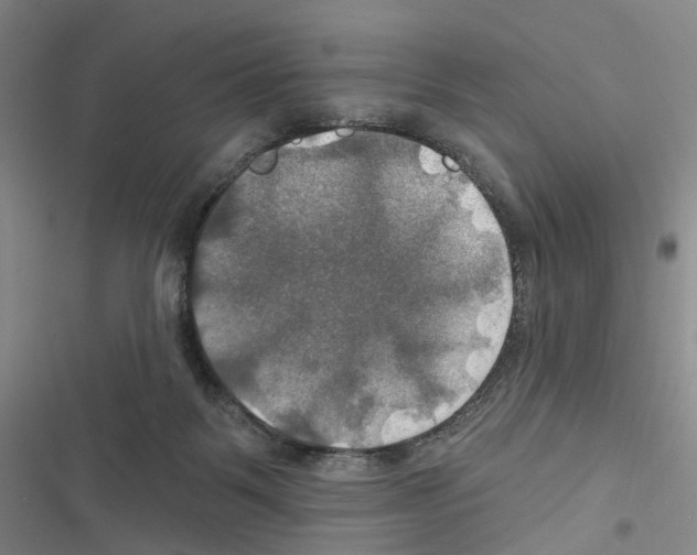 X0000116450123201001191601