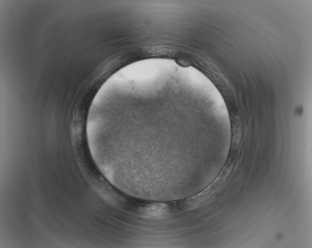 X0000116450124201001191601