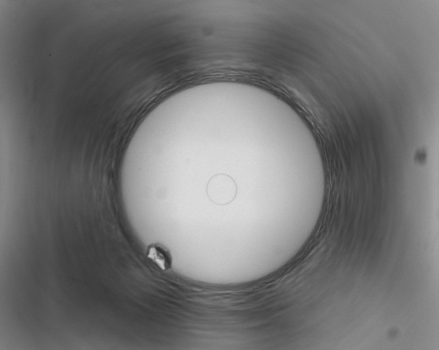 X0000116450125201001191601