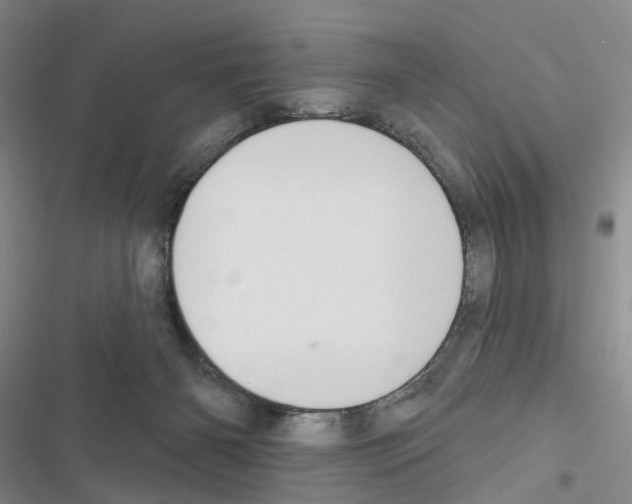 X0000116450126201001191601