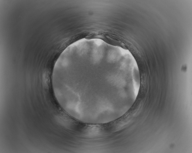 X0000116450127201001191601