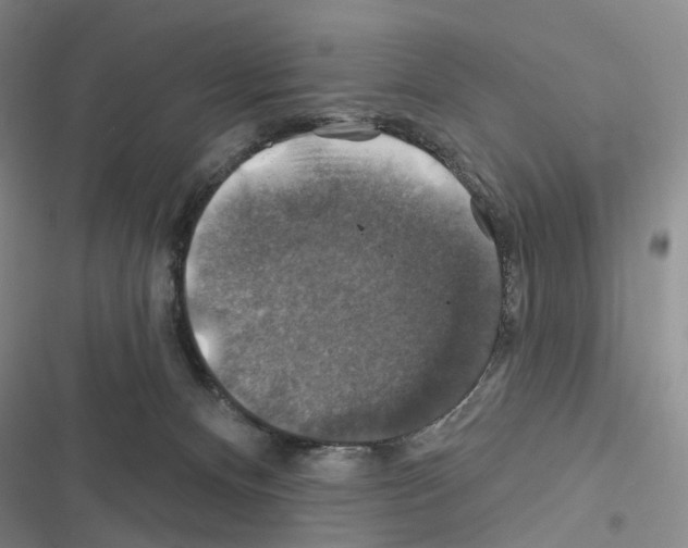 X0000116450128201001191601