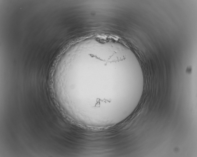 X0000116450129201001191601