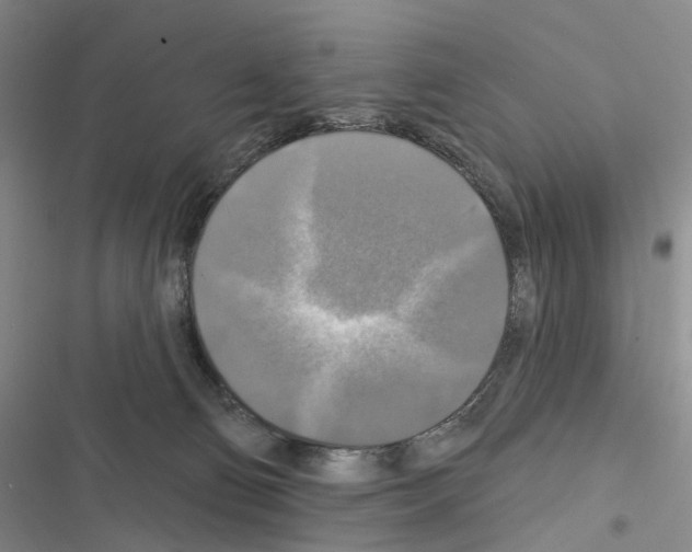 X0000116450130201001191601