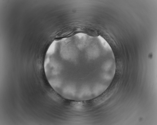 X0000116450131201001191601