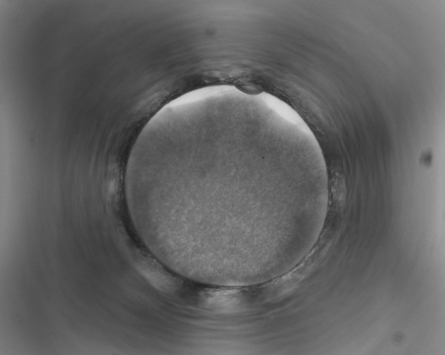 X0000116450132201001191601