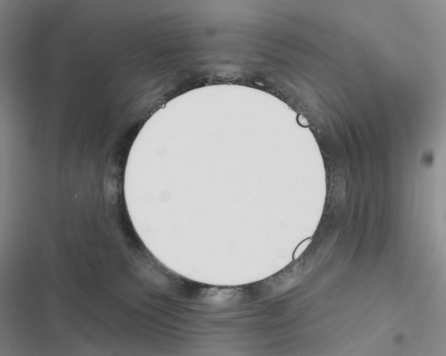X0000116450135201001191600