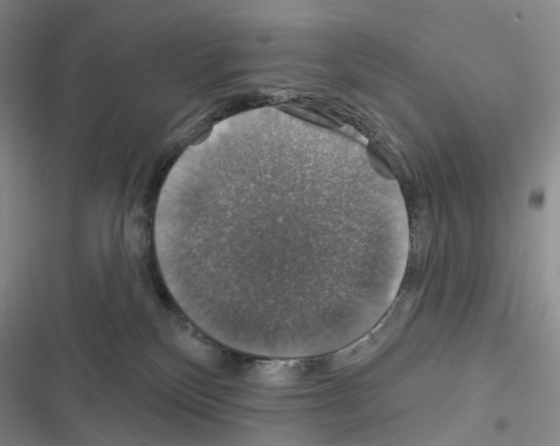 X0000116450136201001191600
