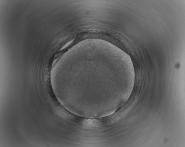X0000116450137201001191600