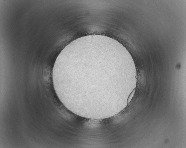 X0000116450138201001191600