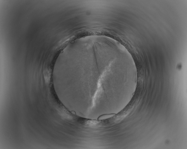 X0000116450139201001191600