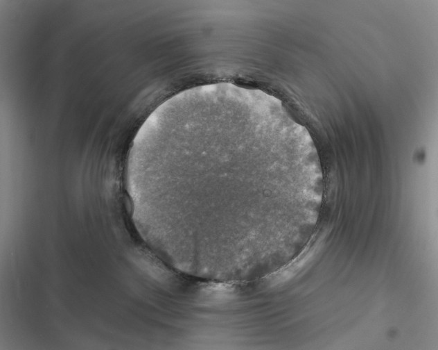 X0000116450140201001191600