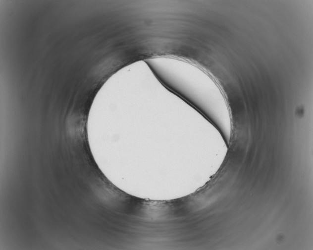 X0000116450141201001191600
