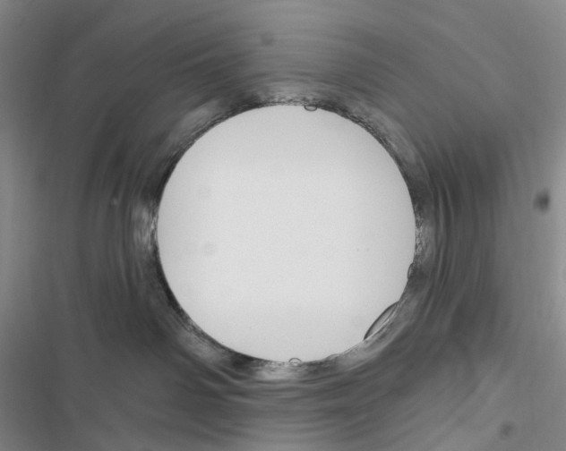 X0000116450142201001191600