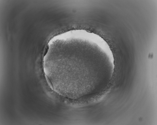 X0000116450144201001191600