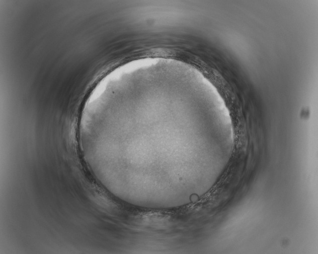 X0000116450146201001191600