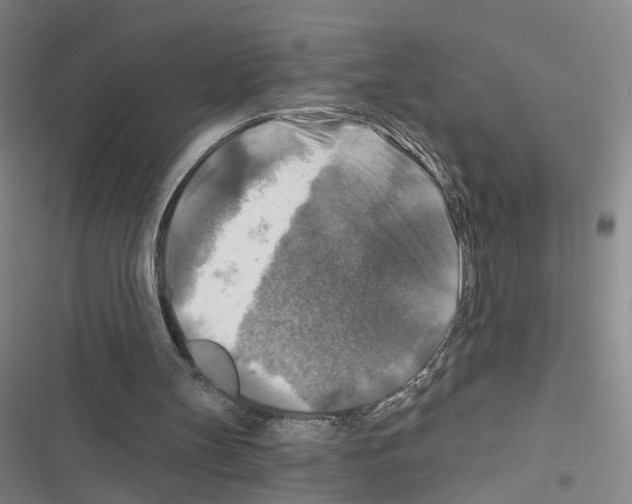 X0000116450147201001191600