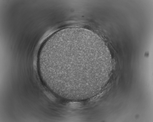X0000116450150201001191600